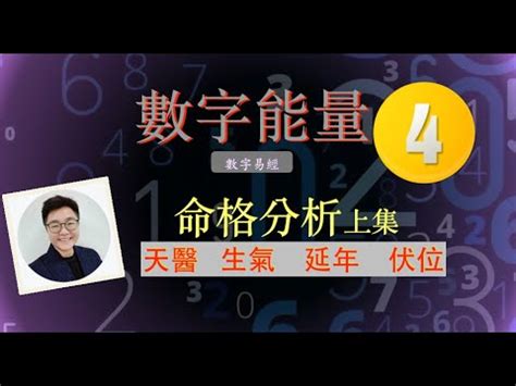 生氣天醫延年組合|【天醫 生氣 延年】用天醫、生氣、延年數字號碼，改。